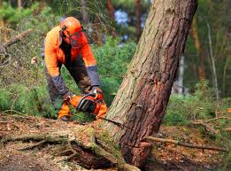 Lawn Watering Services in Union Point, GA