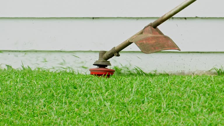 Lawn Drainage Solutions in Union Point, GA
