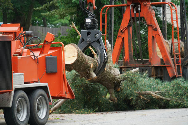  Union Point, GA Tree Services Pros